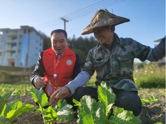 福建農(nóng)信新一期“鄉(xiāng)村振興貸”投放突破10億元，占全省七成以上