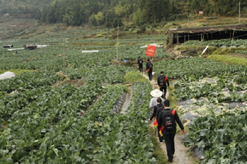 福建農(nóng)信：牢記囑托，為決戰(zhàn)決勝脫貧攻堅(jiān)與成果拓展鞏固注入金融動(dòng)能